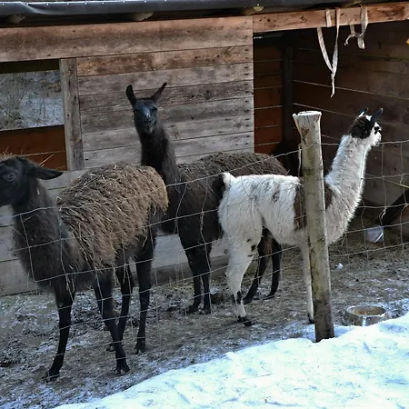 Inn U Lipy Vysoke nad Jizerou